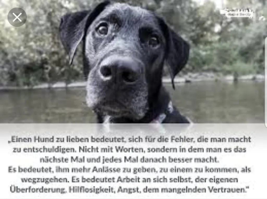 Andachtsbild von Unbekannt