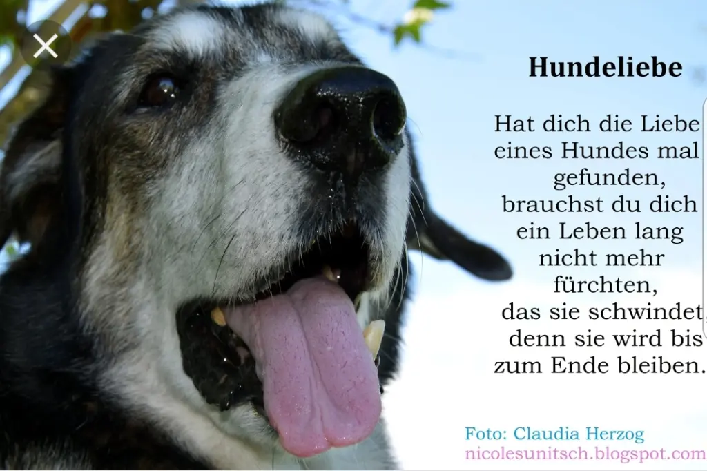 Andachtsbild von Unbekannt