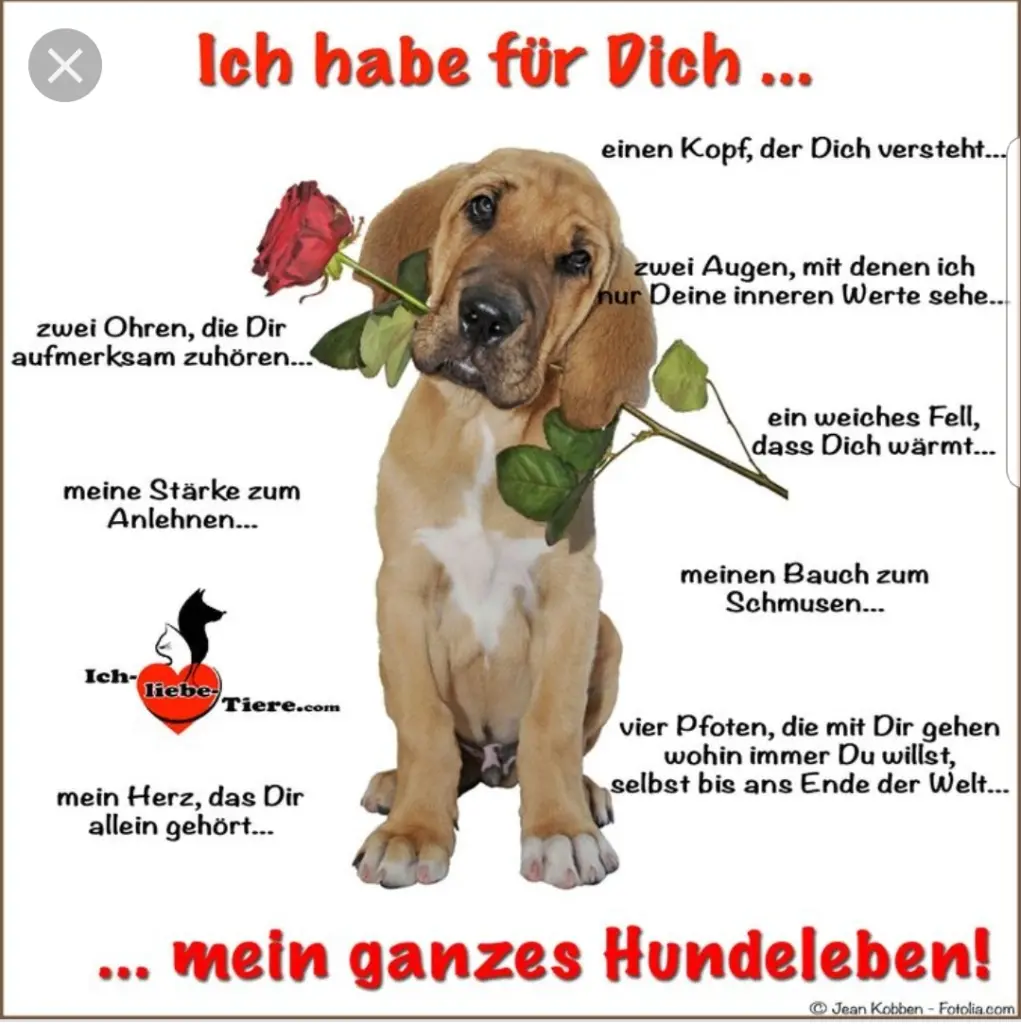 Andachtsbild von Unbekannt