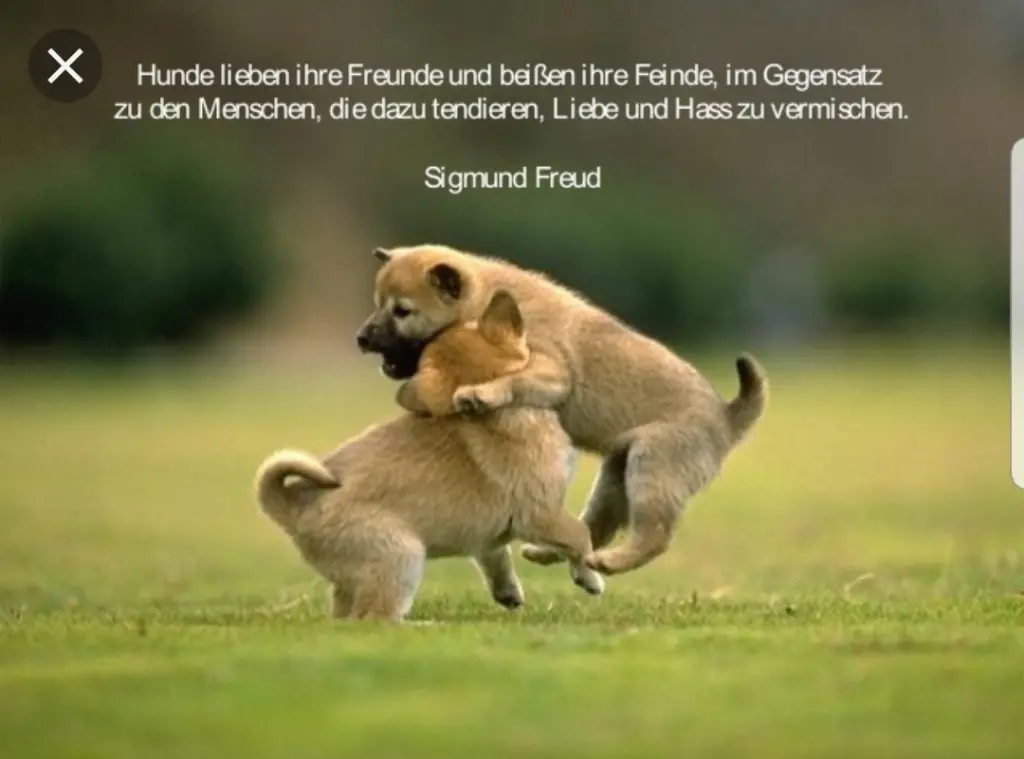 Andachtsbild von Unbekannt