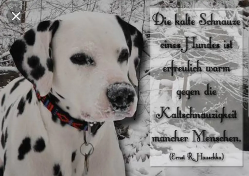 Andachtsbild von Unbekannt