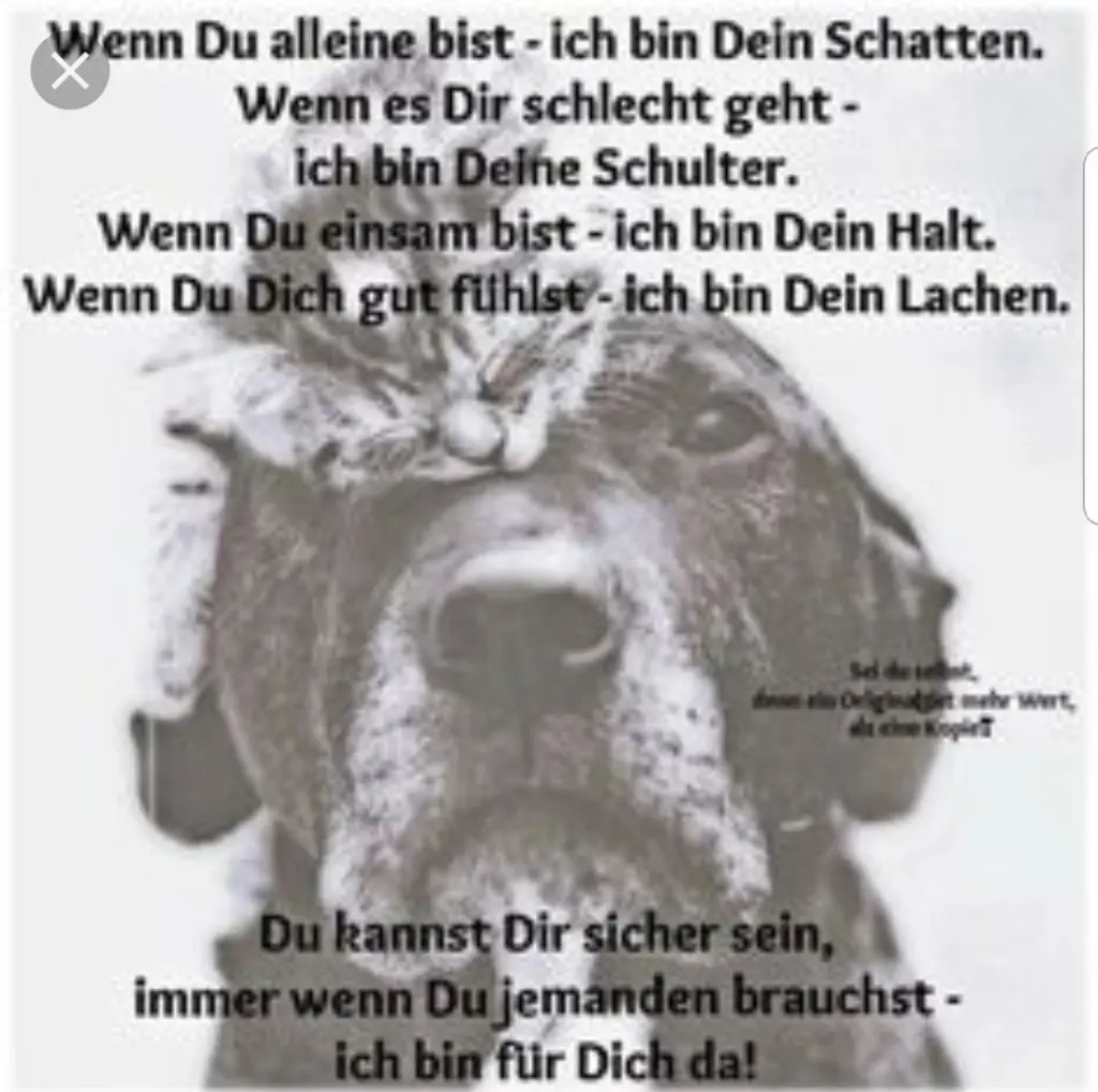 Andachtsbild von Unbekannt