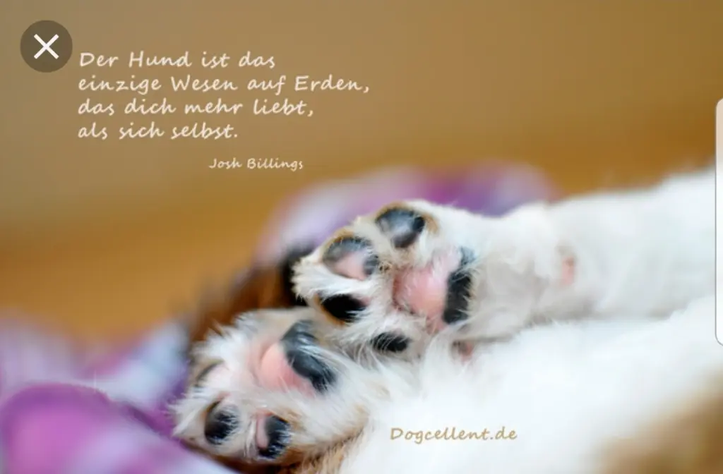 Andachtsbild von Unbekannt