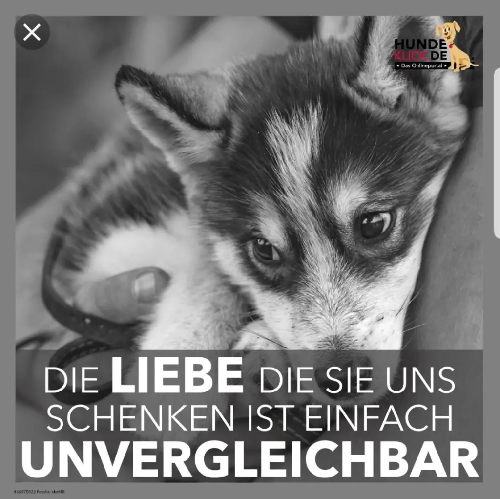 Andachtsbild von Unbekannt