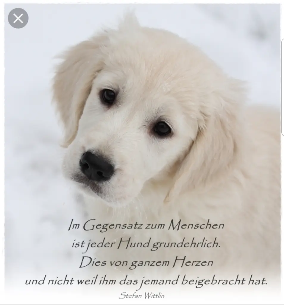 Andachtsbild von Unbekannt