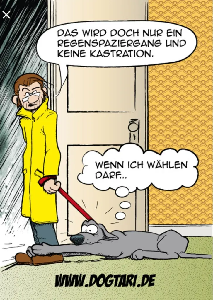 Andachtsbild von Unbekannt