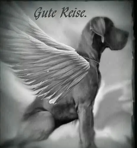 Andachtsbild von Unbekannt