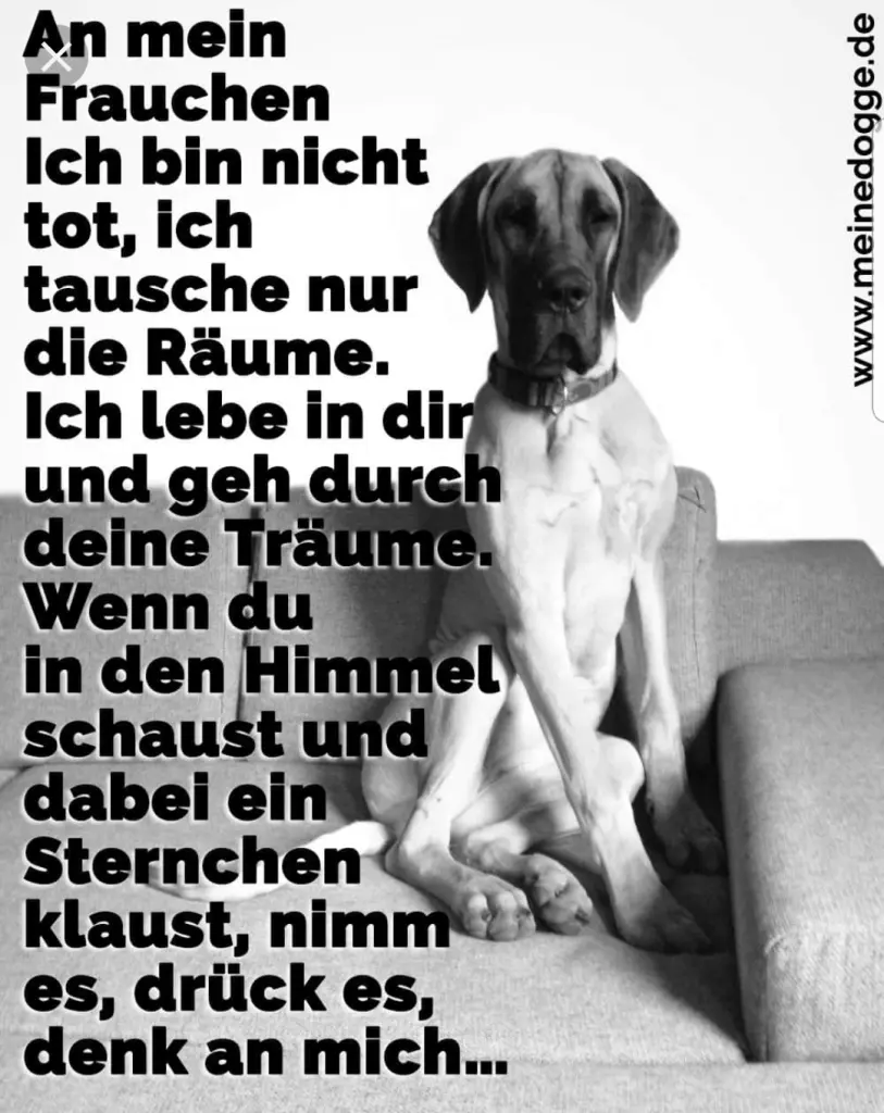 Andachtsbild von Unbekannt