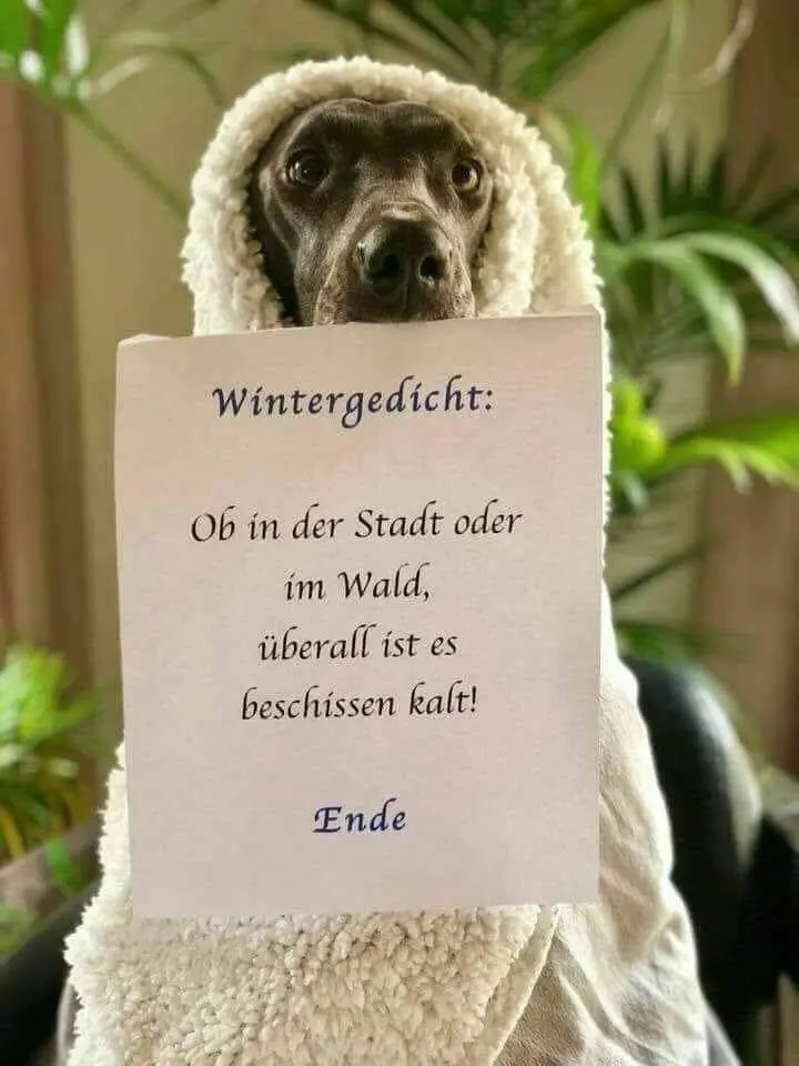 Andachtsbild von Unbekannt