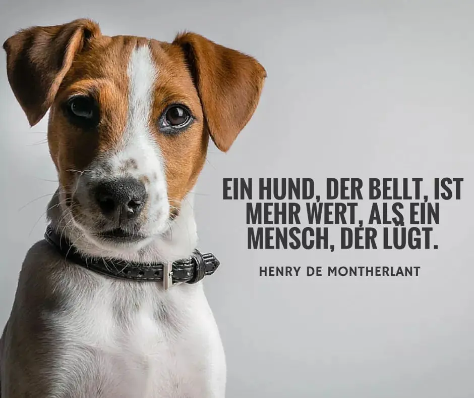 Andachtsbild von Unbekannt