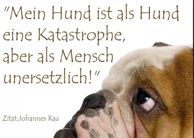 Andachtsbild von Unbekannt