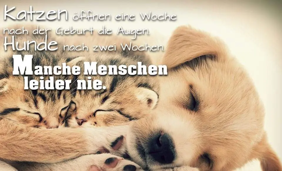 Andachtsbild von Unbekannt