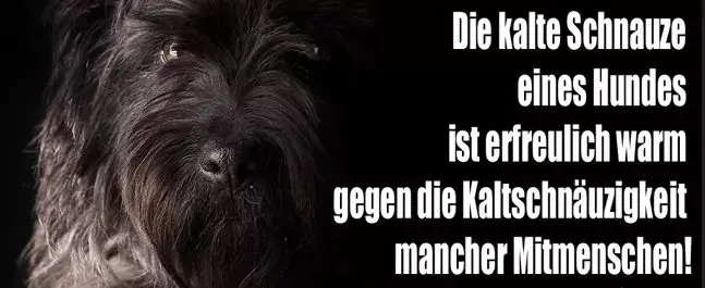 Andachtsbild von Unbekannt