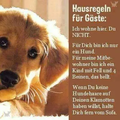 Andachtsbild von Unbekannt