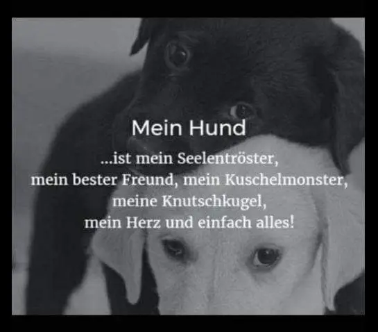 Andachtsbild von Unbekannt