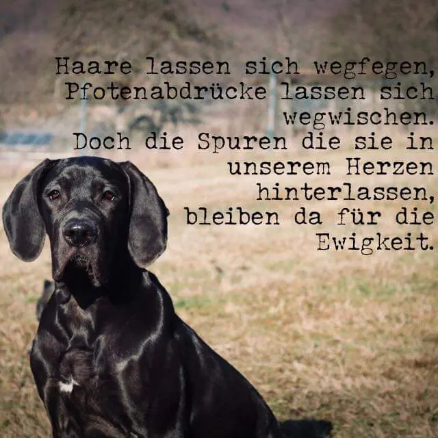 Andachtsbild von Unbekannt