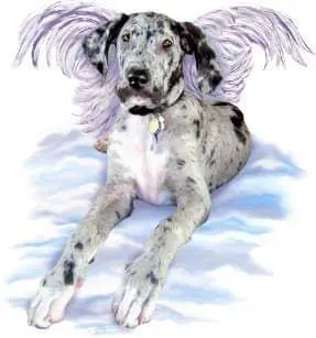 Andachtsbild von Unbekannt