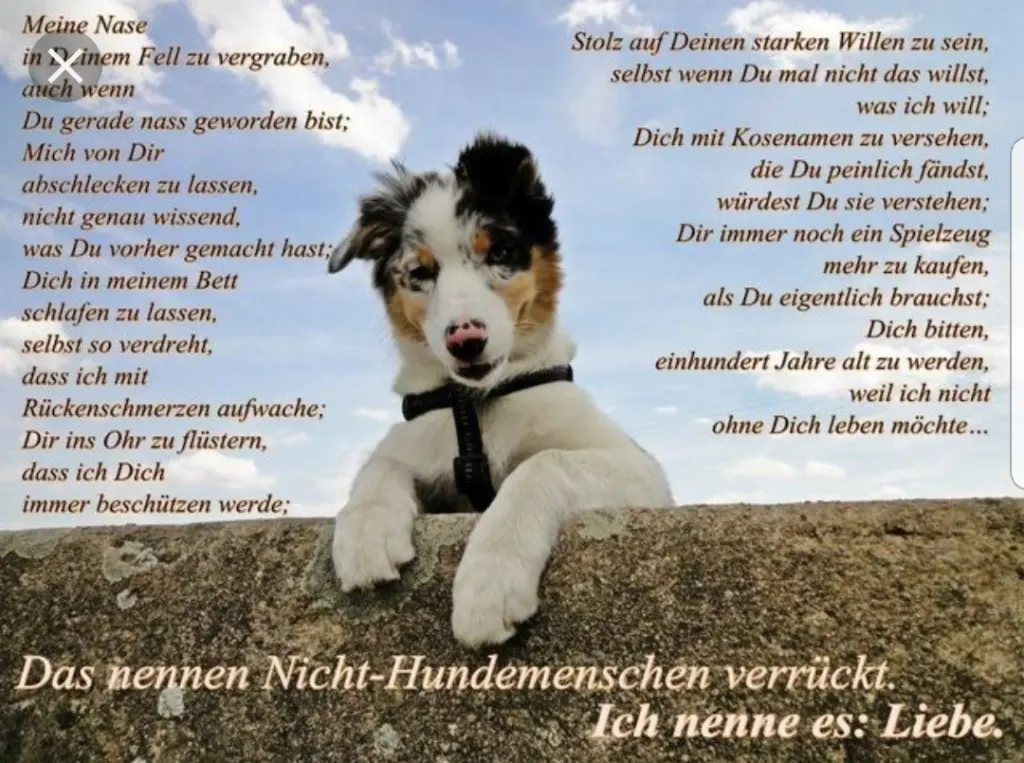 Andachtsbild von Unbekannt