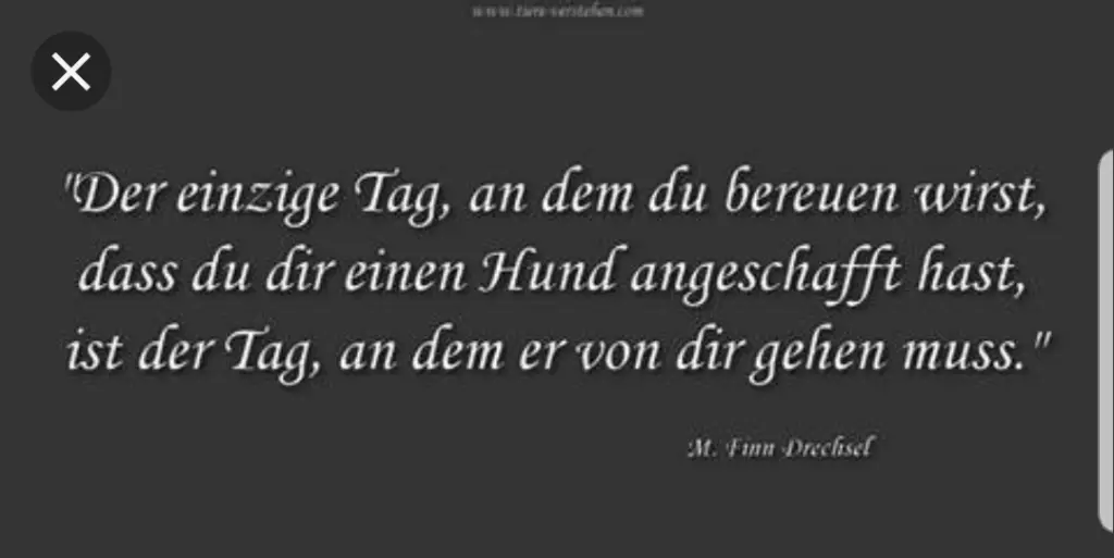 Andachtsbild von Unbekannt