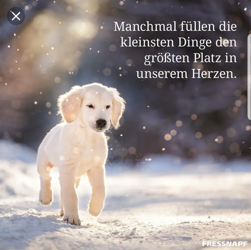 Andachtsbild von Unbekannt