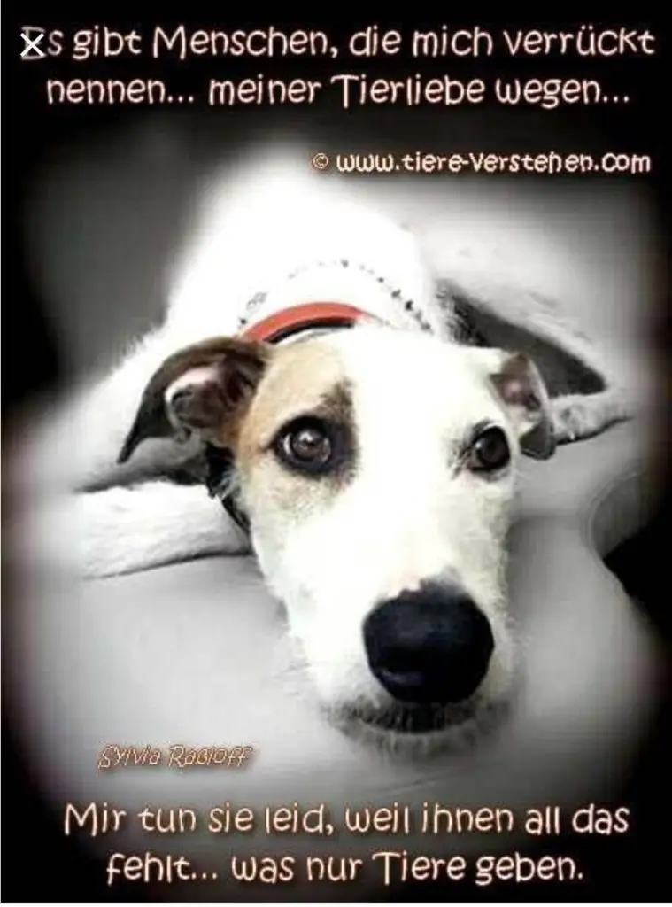 Andachtsbild von Unbekannt