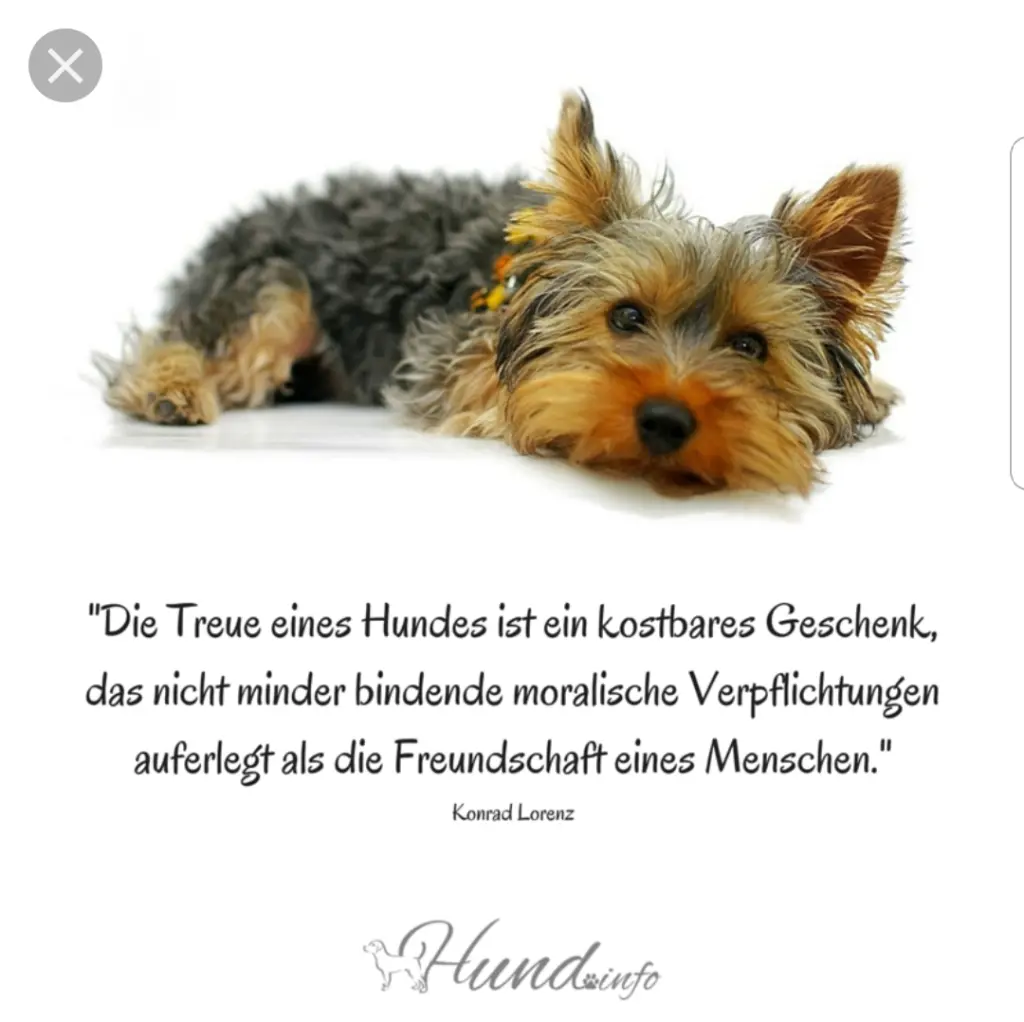 Andachtsbild von Unbekannt