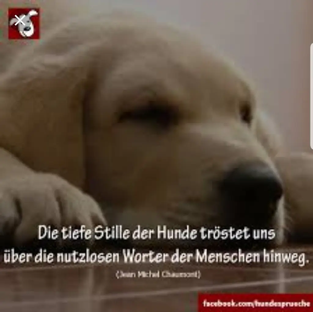 Andachtsbild von Unbekannt