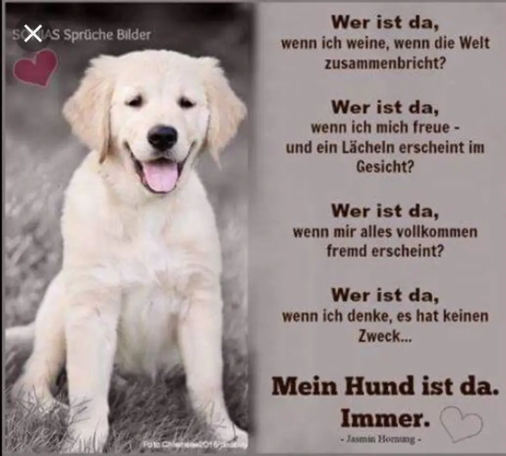 Andachtsbild von Unbekannt