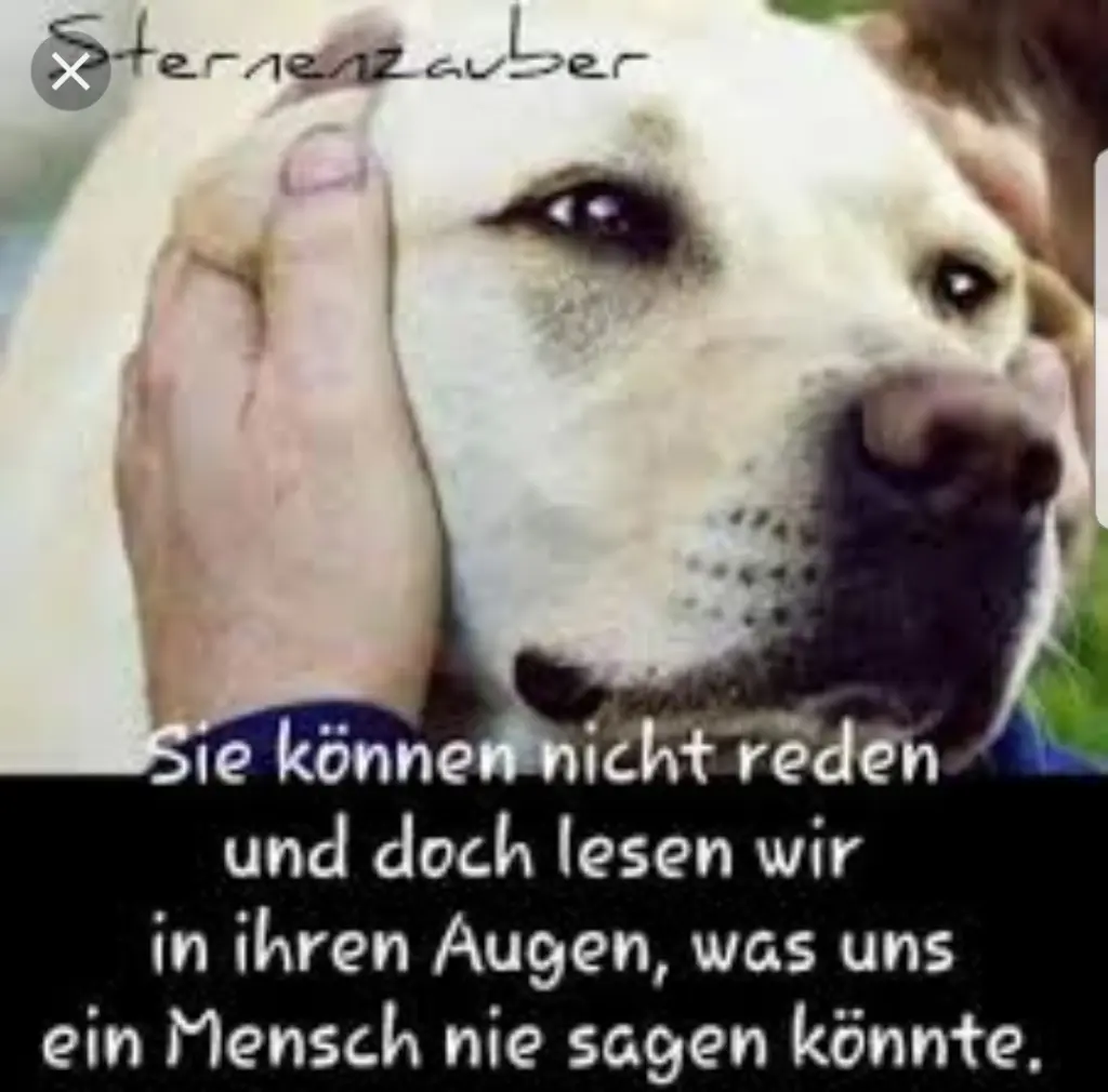 Andachtsbild von Unbekannt