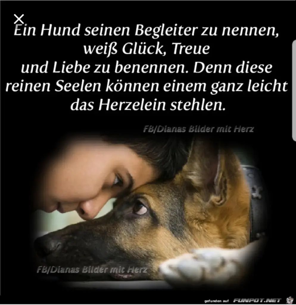 Andachtsbild von Unbekannt