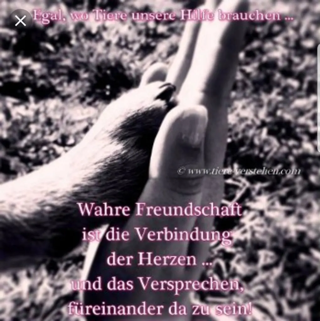 Andachtsbild von Unbekannt