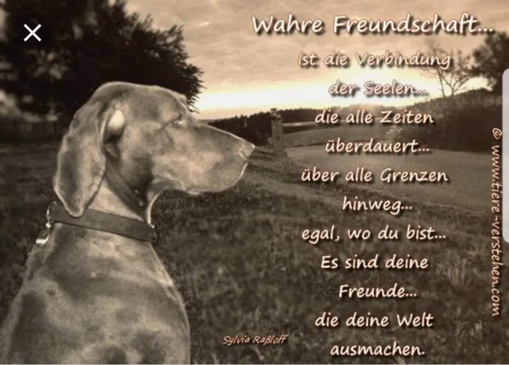 Andachtsbild von Unbekannt