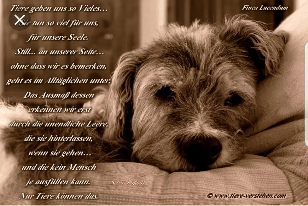 Andachtsbild von Unbekannt