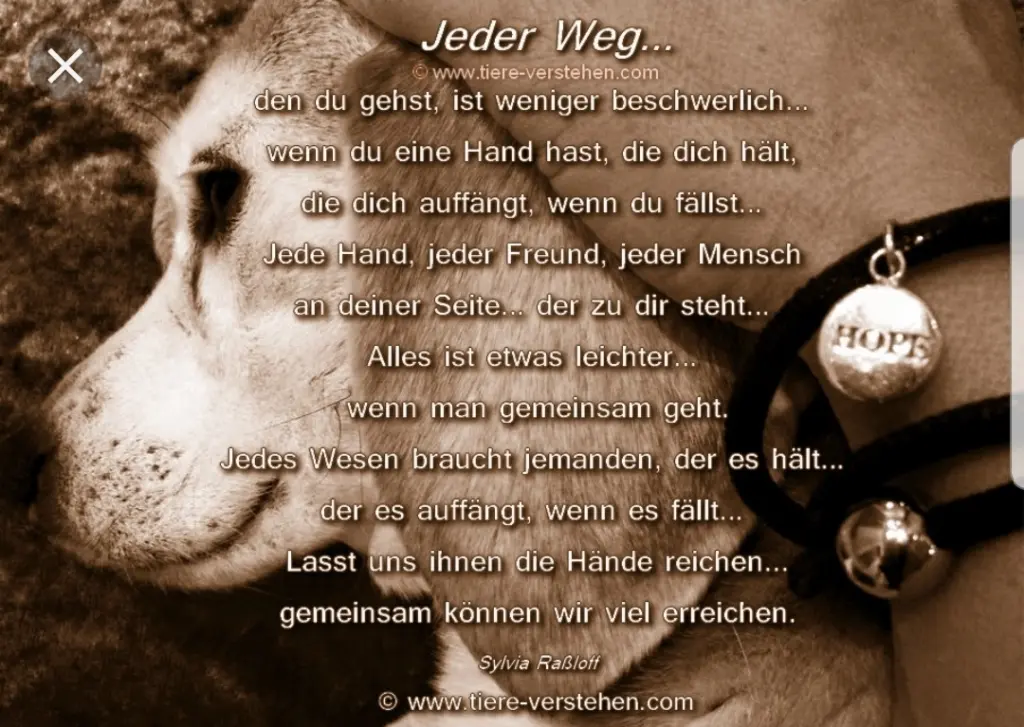 Andachtsbild von Unbekannt