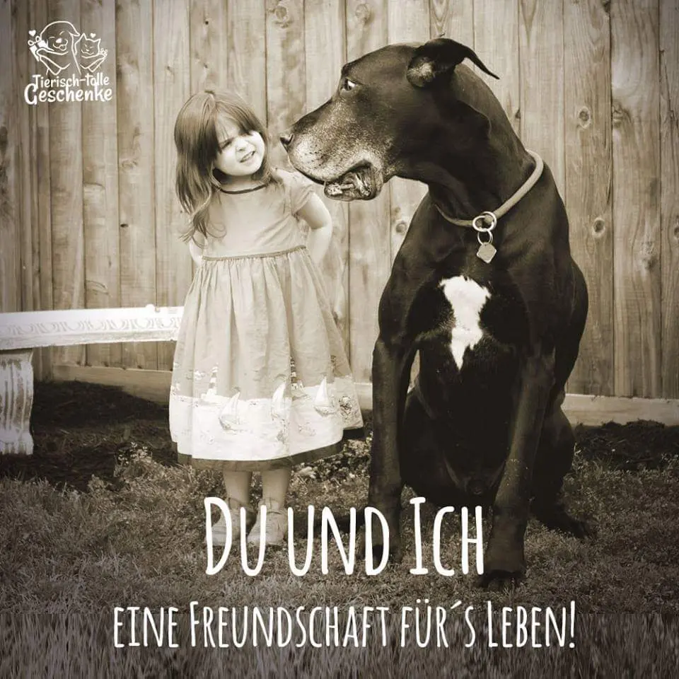 Andachtsbild von Unbekannt