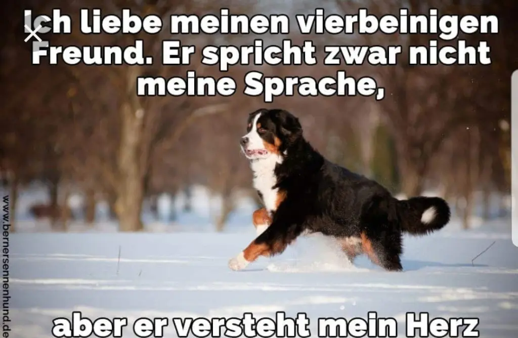 Andachtsbild von Unbekannt