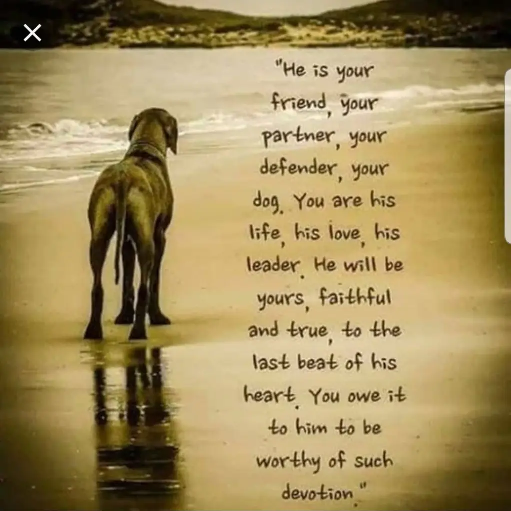 Andachtsbild von Unbekannt