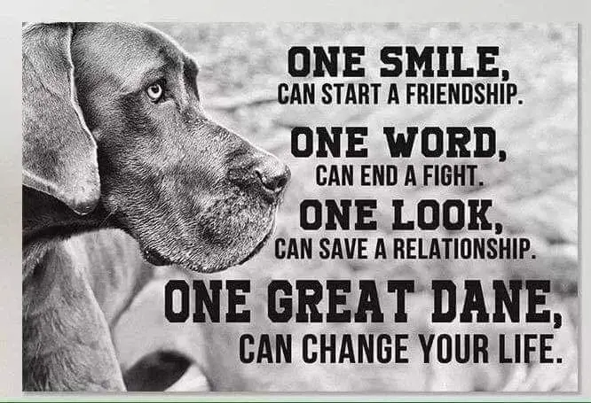 Andachtsbild von Unbekannt