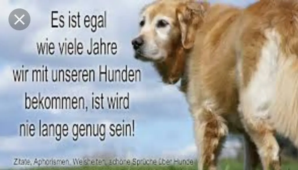 Andachtsbild von Unbekannt