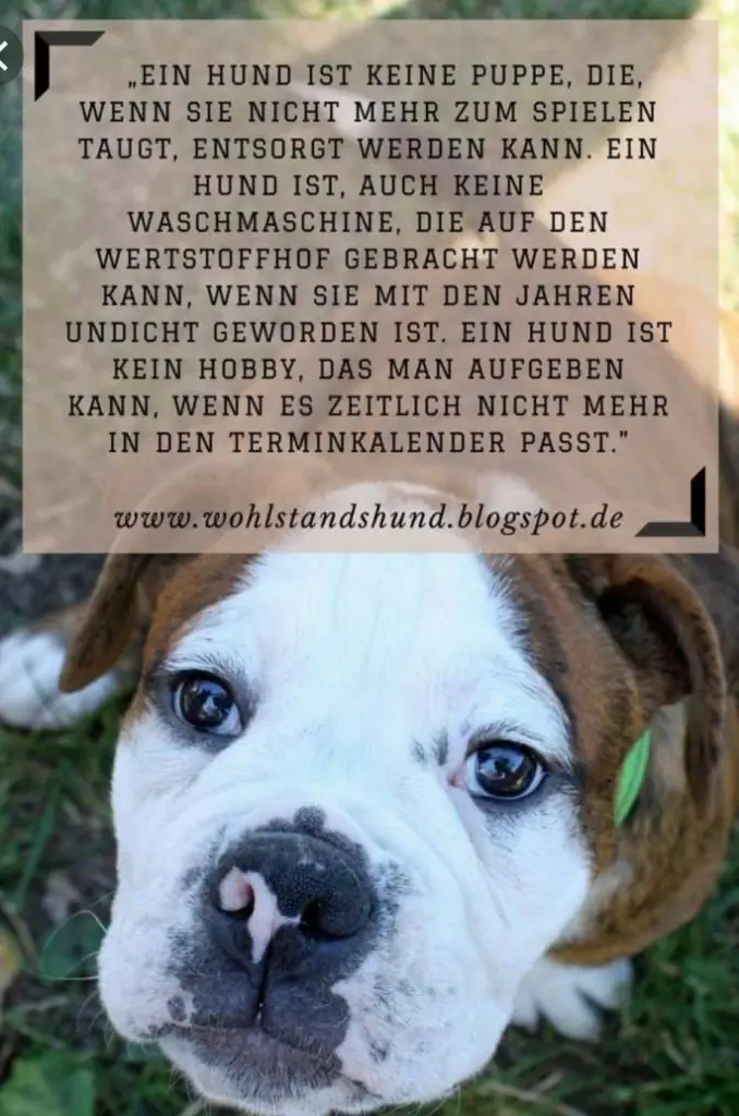 Andachtsbild von Unbekannt