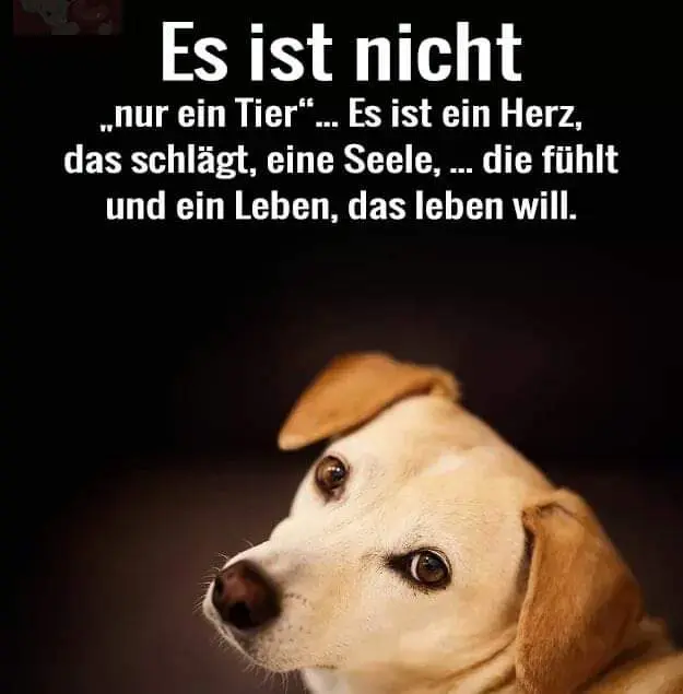 Andachtsbild von Unbekannt