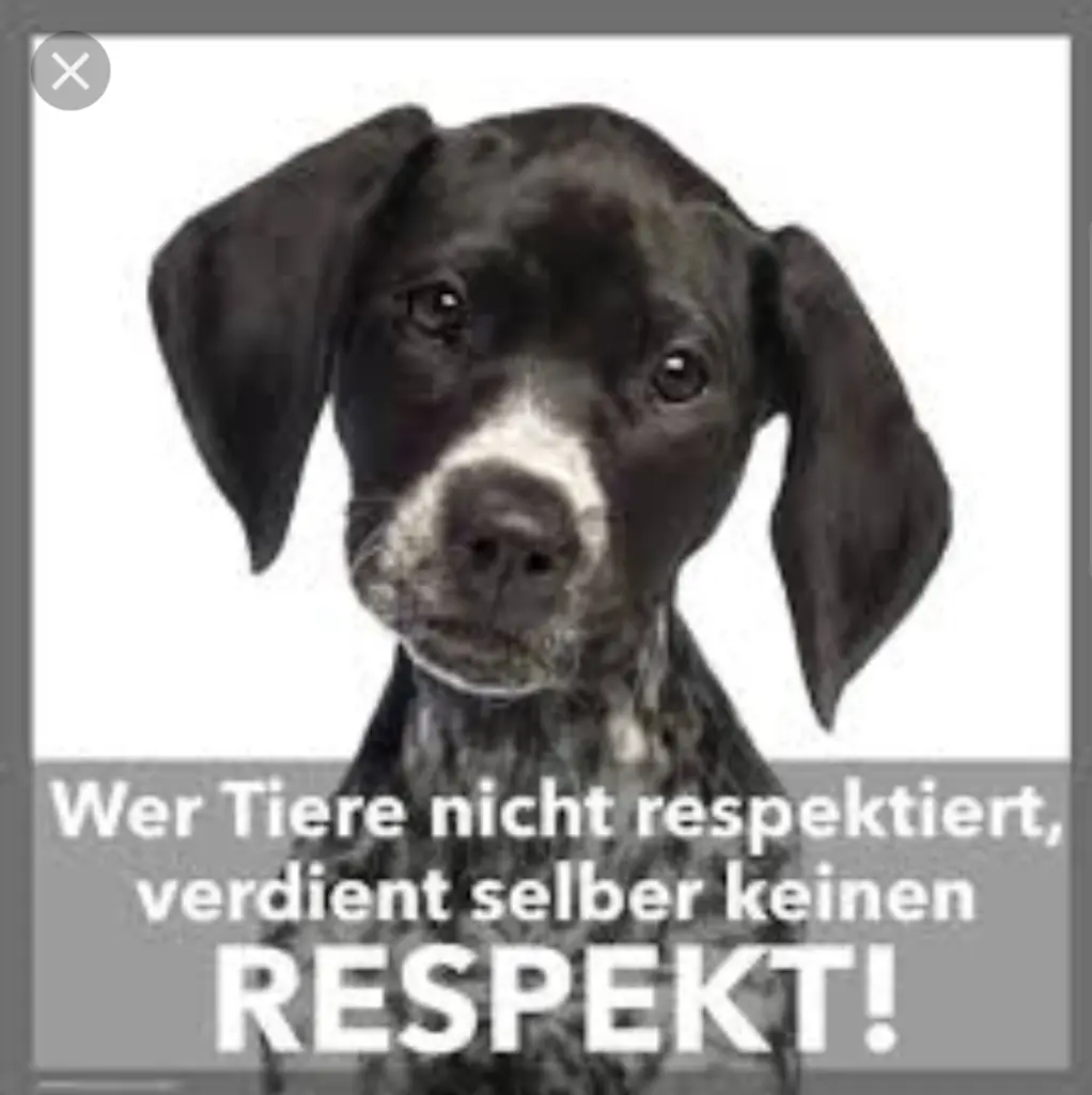 Andachtsbild von Unbekannt