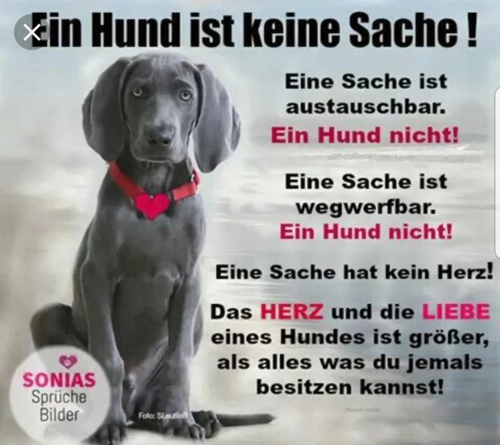 Andachtsbild von Unbekannt