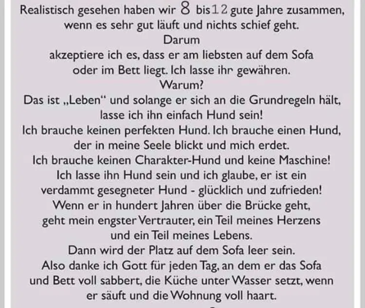 Andachtsbild von Unbekannt