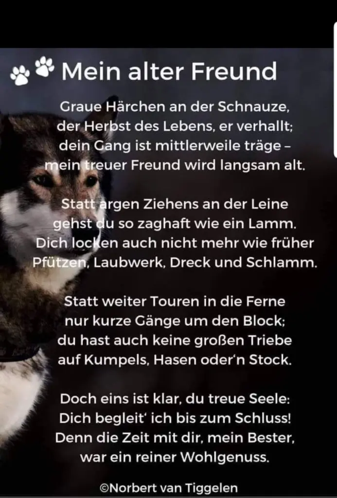 Andachtsbild von Mama