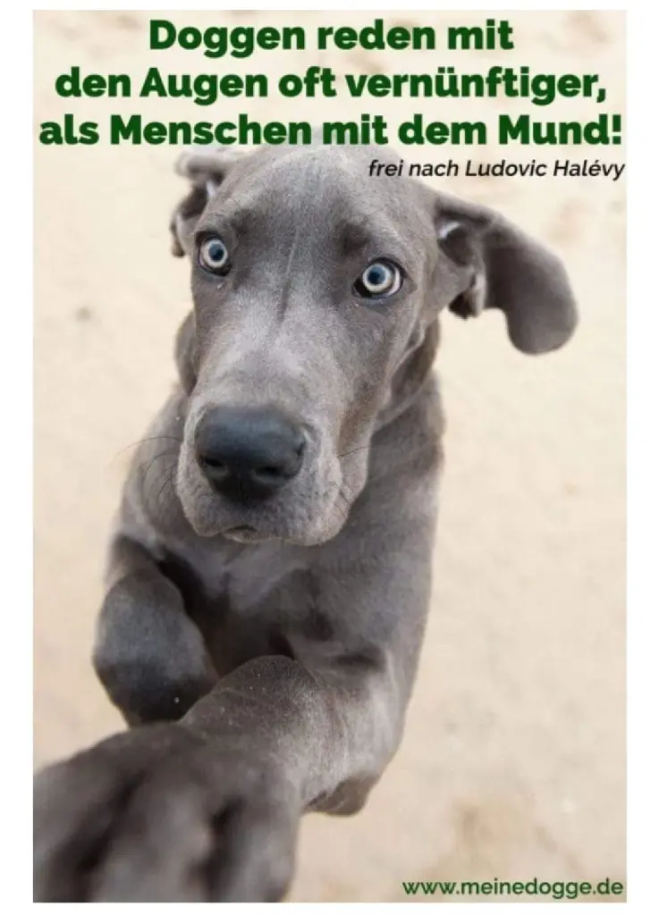 Andachtsbild von Unbekannt