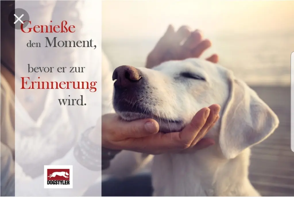 Andachtsbild von Unbekannt