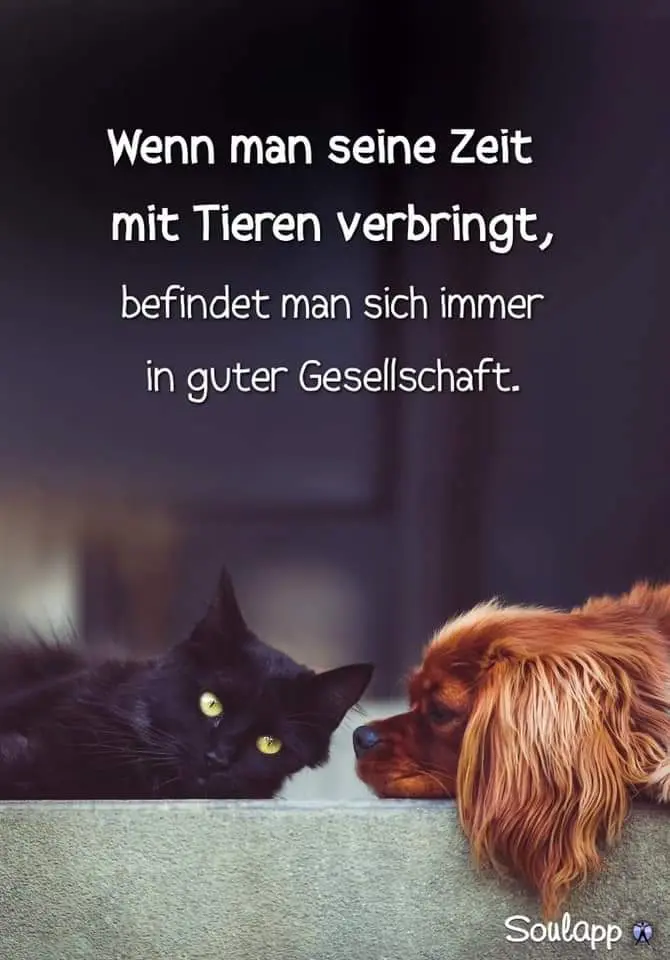 Andachtsbild von Unbekannt