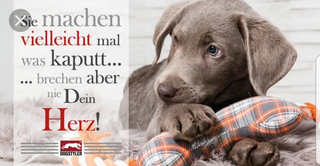 Andachtsbild von Unbekannt