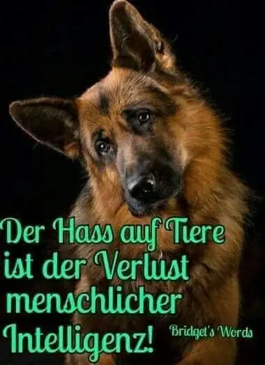 Andachtsbild von Unbekannt